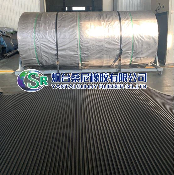 Cinturó de goma horitzontal per a filtres de cinturó de buit DU